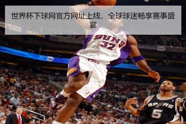 世界杯下球网官方网址上线,全球球迷畅享赛事盛宴
